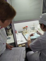 Готовимся к Чемпионату “Профессионалы”