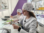Студенты Елецкого медицинского колледжа им. К. С. Константиновой вместе с педагогами-наставниками продолжают активную работу по плетению маскировочных сетей и изготовлению блиндажных свечей