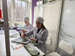 Студенты Елецкого медицинского колледжа им. К. С. Константиновой вместе с педагогами-наставниками продолжают активную работу по плетению маскировочных сетей и изготовлению блиндажных свечей