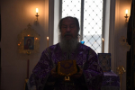 Первый архипастырский визит в храм иконы Божией Матери «Всех скорбящих Радость»