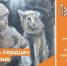 6ULYq5RLeAg - Отдел образования