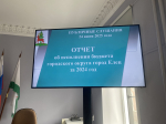 Публичные слушания по отчету об исполнении бюджета за 2024 год