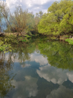Приглашаем на субботник