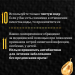 Лето – прекрасная пора пикников, свежих овощей и фруктов