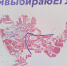 Завершился основной этап зачисления по программам высшего образования - ЕГУ им. И.А. Бунина