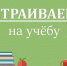 Полезняшки для старших курсов: как студенту вернуть учебный настрой после каникул? - ЕМК им. К.С. Константиновой