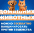 Липчане могут бесплатно привить домашних животных от бешенства - Администрация г. Елец