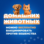 Липчане могут бесплатно привить домашних животных от бешенства