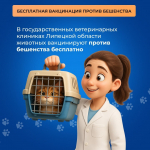 Липчане могут бесплатно привить домашних животных от бешенства