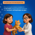 Липчане могут бесплатно привить домашних животных от бешенства