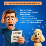 Липчане могут бесплатно привить домашних животных от бешенства
