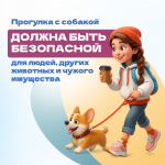 Правила выгула питомцев: информация для владельцев собак