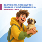 Правила выгула питомцев: информация для владельцев собак
