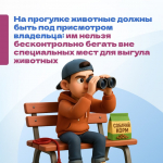 Правила выгула питомцев: информация для владельцев собак