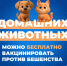 О необходимости проведения профилактической вакцинации против бешенства домашних животных - Елецкий район