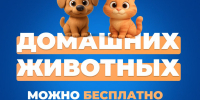 О необходимости проведения профилактической вакцинации против бешенства домашних животных - Елецкий район