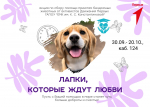 В честь добрых сердец каждого из нас, а также в рамках Всемирного дня защиты животных активисты первичного отделения “Движение Первых” ГАПОУ “ЕМК им.К.С. Константиновой” объявляют о старте сбора помощи приютам бездомных животных г. Ельца