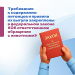 О правилах содержания домашних животных