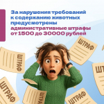 О правилах содержания домашних животных