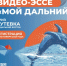 Департамент государственной общеобразовательной политики и развития дошкольного образования Минпросвещения России (далее – Департамент) информирует о проведении воспитательно-патриотических мероприятий «Дни регионов Дальнего востока в Москве» на территории Национального центра «Россия» (далее – фестиваль) - ЕМК им. К.С. Константиновой