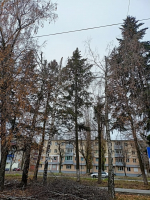 Сотрудники МУП «Елец-Сервис» продолжают работы по благоустройству города
