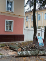 Сотрудники МУП «Елец-Сервис» продолжают работы по благоустройству города