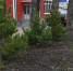 14s4pnS9DMVmTb3V_QF5_Dyd6K6Mp2s_4TVDImnc7jyqAOO-zkbpZRwmT9c7_7fU0aoMgpy4dh_fmY4R1Q241Pt9 - Администрация г. Елец