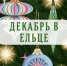 Декабрь в Ельце будет насыщенным — и дело не только в хлопотах перед Новым годом! - Администрация г. Елец