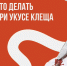 Осторожно, клещи! - Администрация г. Елец