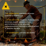 Не жги сухую траву – это может привести к трагедии!