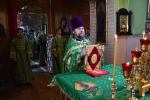 Божественная литургия в день Святаго Духа в Троицком храме города Ельца