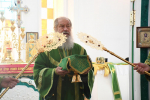 Троицкий собор города Чаплыгина отметил престольный праздник