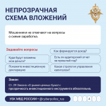 Быстрой прибыли не бывает!