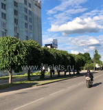 Сегодня АЗС обслуживают автомобили с нечётными номерами: 1, 3, 5, 7, 9!