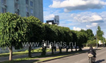Сегодня АЗС обслуживают автомобили с нечётными номерами: 1, 3, 5, 7, 9!