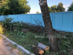 В Ельце по улице Льва Толстого перекрыли тротуар сучьями деревьев