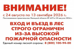 Ограничение на посещение лесов продлено до 13 сентября в Липецкой области