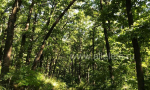 Массовые заболевания граждан с симптомами острой кишечной инфекции в Елецком районе!