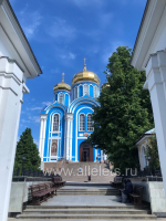 Сегодня День памяти святителя Тихона Задонского! С праздником!