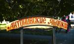 26.09.2026 с 07:00 час. до 20:00 будет перекрыто движение транспортных средств!