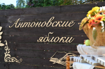 «Антоновские яблоки» в Ельце