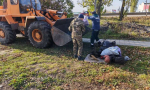 Сотрудники МБУ «Благоустройство» и представители ООО «Агроснабсахар» провели субботник на пешеходной зоне вдоль окружной трассы